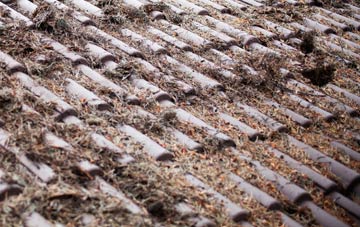 Wolsty roof cleaning companies